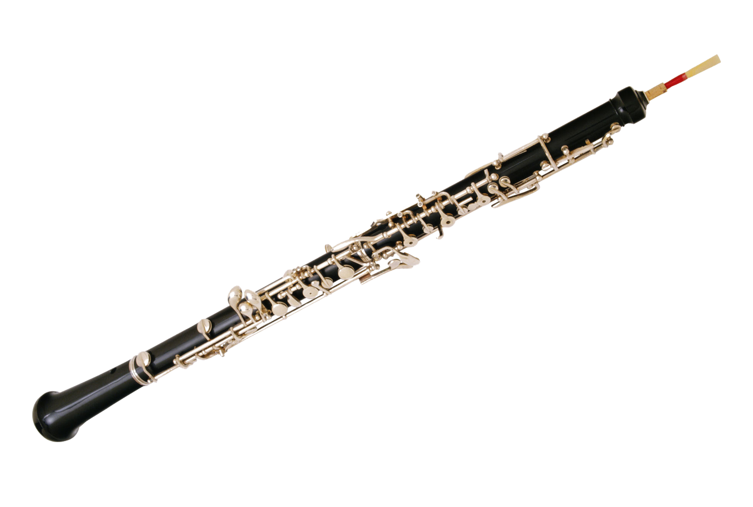 Oboe png 1